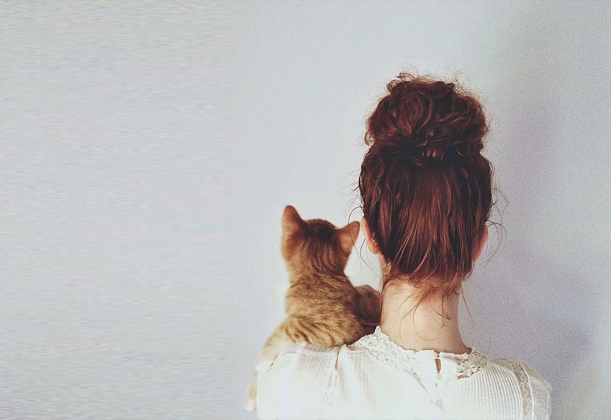 gatos_influencers