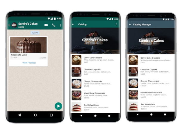 ¿Quién puede crear un catálogo en WhatsApp?